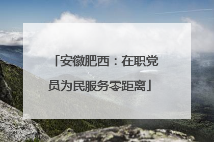 安徽肥西：在职党员为民服务零距离