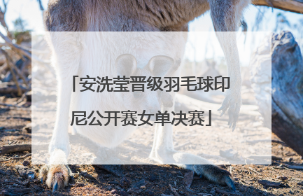 安洗莹晋级羽毛球印尼公开赛女单决赛