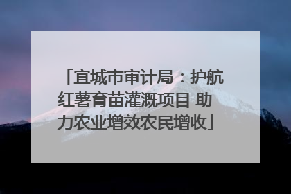 宜城市审计局：护航红薯育苗灌溉项目 助力农业增效农民增收
