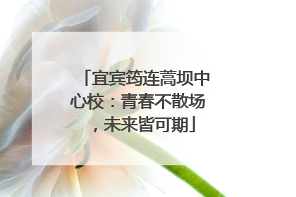 宜宾筠连蒿坝中心校：青春不散场，未来皆可期