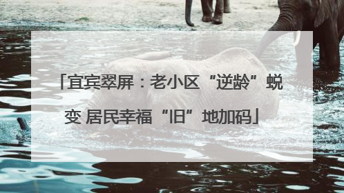 宜宾翠屏：老小区“逆龄”蜕变 居民幸福“旧”地加码
