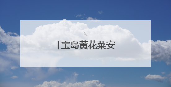 宝岛黄花菜安家尤溪畲乡
