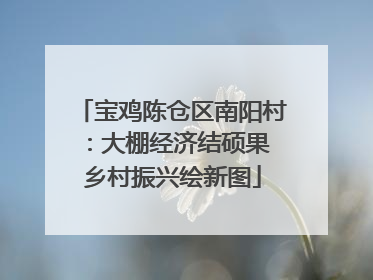 宝鸡陈仓区南阳村：大棚经济结硕果 乡村振兴绘新图