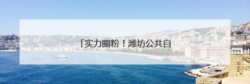 实力圈粉！潍坊公共自行车骑行量破4亿人次
