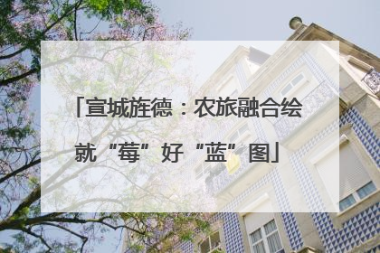 宣城旌德：农旅融合绘就“莓”好“蓝”图