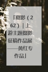 夏影（262）｜上游主题摄影征稿作品展——黄红专作品