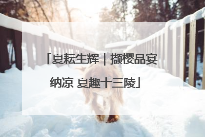 夏耘生辉｜撷樱品宴纳凉 夏趣十三陵