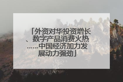 外资对华投资增长、数字产品消费火热……中国经济加力发展动力强劲