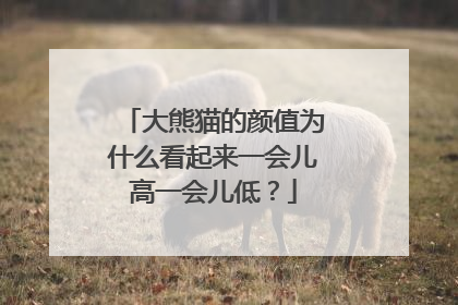 大熊猫的颜值为什么看起来一会儿高一会儿低？