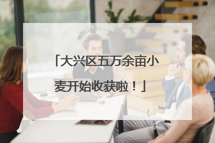 大兴区五万余亩小麦开始收获啦！