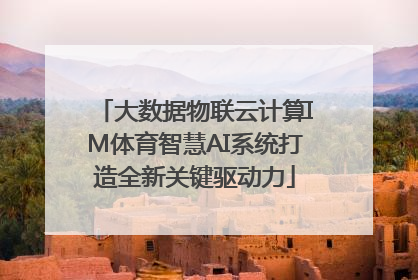 大数据物联云计算IM体育智慧AI系统打造全新关键驱动力