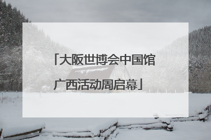 大阪世博会中国馆广西活动周启幕