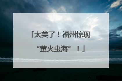 太美了！福州惊现“萤火虫海”！