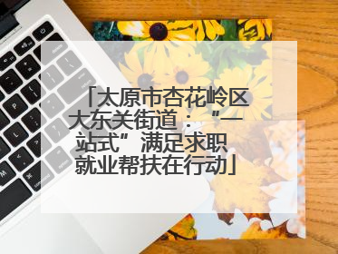 太原市杏花岭区大东关街道：“一站式”满足求职 就业帮扶在行动
