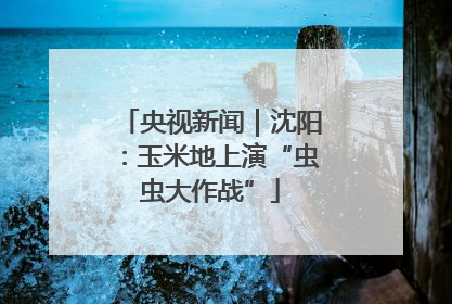 央视新闻｜沈阳：玉米地上演“虫虫大作战”