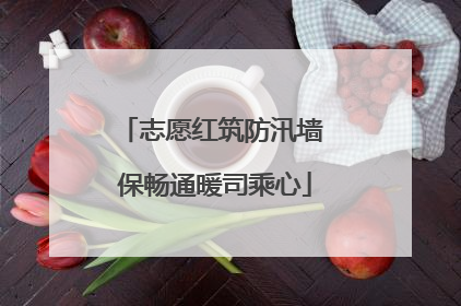 志愿红筑防汛墙 保畅通暖司乘心