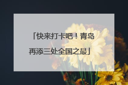 快来打卡吧！青岛再添三处全国之最