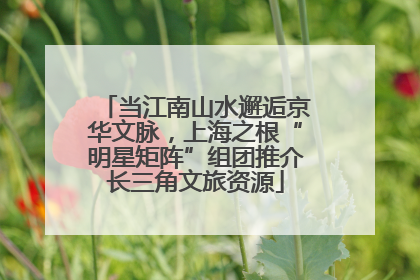 当江南山水邂逅京华文脉，上海之根“明星矩阵”组团推介长三角文旅资源