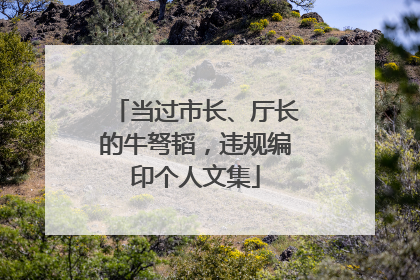 当过市长、厅长的牛弩韬，违规编印个人文集