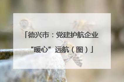 德兴市：党建护航企业“暖心”远航（图）