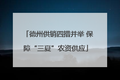 德州供销四措并举 保障“三夏”农资供应