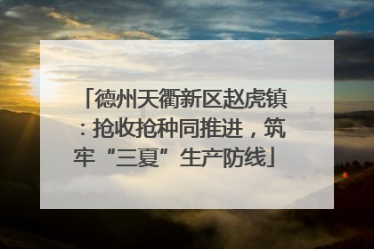 德州天衢新区赵虎镇：抢收抢种同推进，筑牢“三夏”生产防线