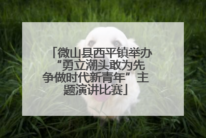 微山县西平镇举办“勇立潮头敢为先 争做时代新青年”主题演讲比赛