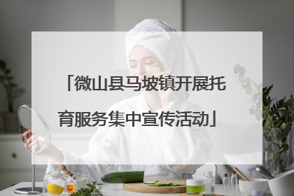 微山县马坡镇开展托育服务集中宣传活动