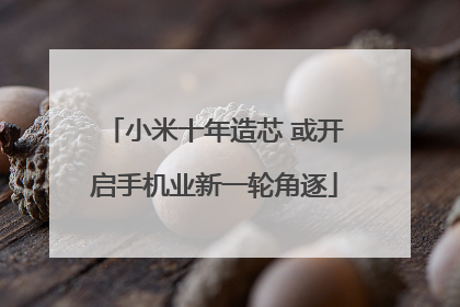 小米十年造芯 或开启手机业新一轮角逐