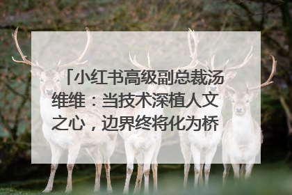 小红书高级副总裁汤维维：当技术深植人文之心，边界终将化为桥梁｜聚焦2025文化强国建设高峰论坛