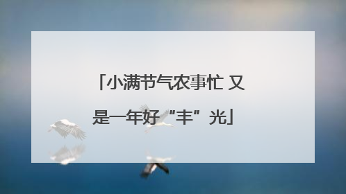 小满节气农事忙 又是一年好“丰”光