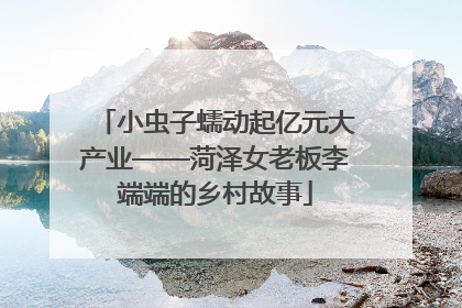 小虫子蠕动起亿元大产业——菏泽女老板李端端的乡村故事