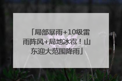 局部暴雨+10级雷雨阵风+局地冰雹！山东迎大范围降雨
