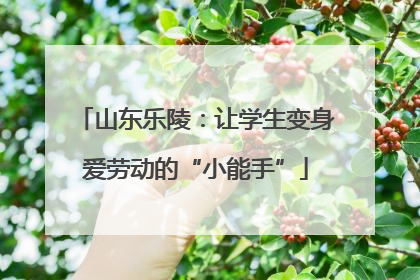 山东乐陵：让学生变身爱劳动的“小能手”
