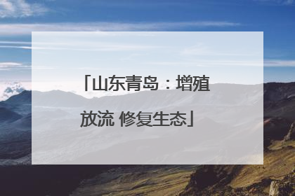 山东青岛：增殖放流 修复生态