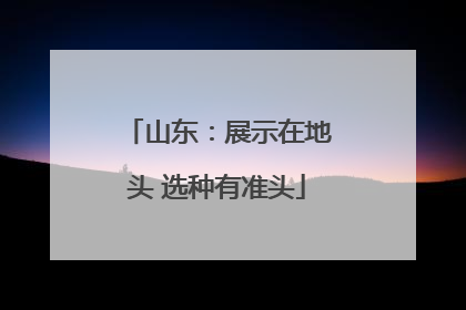 山东：展示在地头 选种有准头