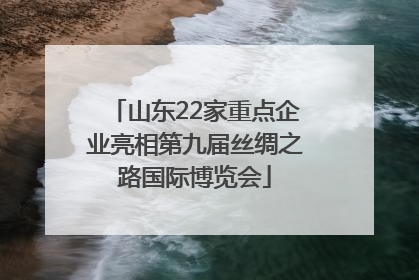 山东22家重点企业亮相第九届丝绸之路国际博览会