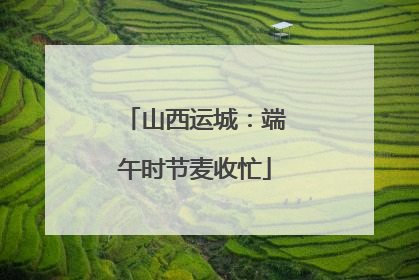 山西运城：端午时节麦收忙