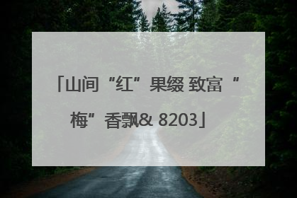 山间“红”果缀 致富“梅”香飘& 8203