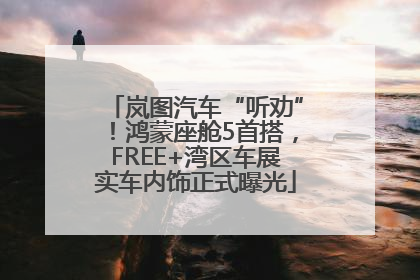 岚图汽车“听劝”！鸿蒙座舱5首搭，FREE+湾区车展实车内饰正式曝光