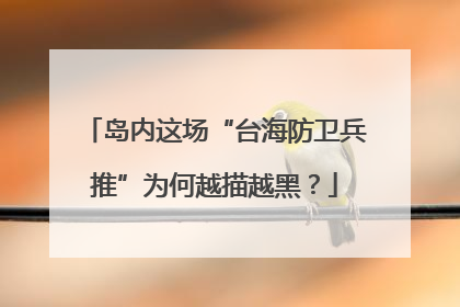 岛内这场“台海防卫兵推”为何越描越黑？