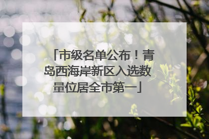市级名单公布！青岛西海岸新区入选数量位居全市第一