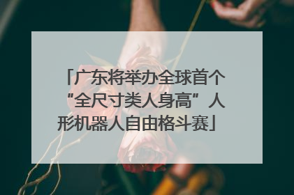 广东将举办全球首个“全尺寸类人身高”人形机器人自由格斗赛