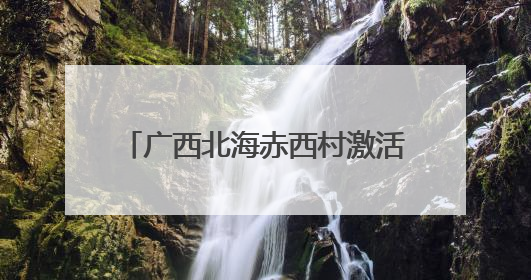 广西北海赤西村激活“农文旅学”产业