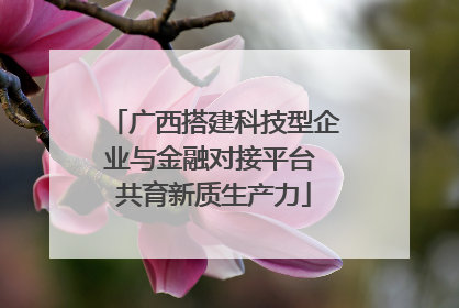 广西搭建科技型企业与金融对接平台 共育新质生产力