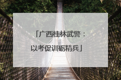 广西桂林武警：以考促训砺精兵