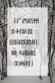 广西梧州乡村新景：田园铁路相映 勾勒和美画卷