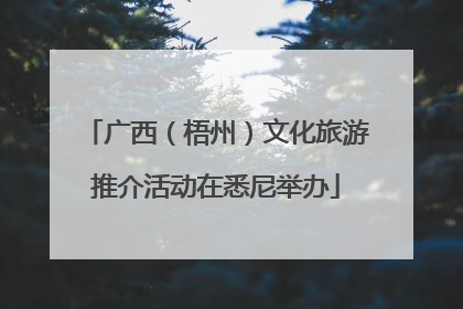 广西（梧州）文化旅游推介活动在悉尼举办
