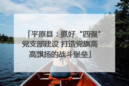 平原县：抓好“四强”党支部建设 打造党旗高高飘扬的战斗堡垒