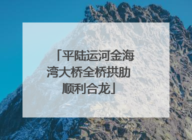 平陆运河金海湾大桥全桥拱肋顺利合龙